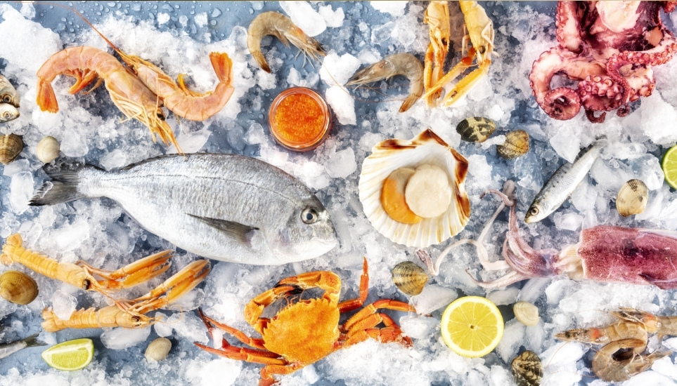Frozen Fish & Seafood
